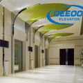 Professional Manufacture Beautiful Passenger Elevator Lift